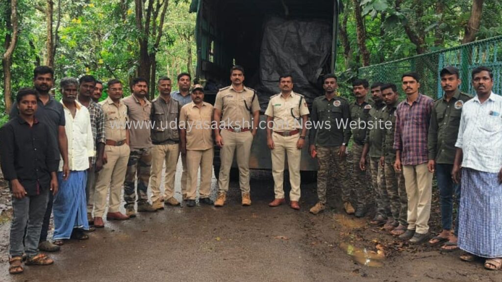 ಶಿವಮೊಗ್ಗ  ಕೊನೆಗೂ ಬೋನಿಗೆ ಬಿದ್ದ ಗಂಡು ಚಿರತೆ!