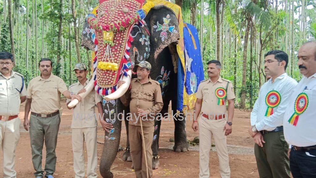 ಶಿವಮೊಗ್ಗ ಸಕ್ರೆಬೈಲು ಆನೆ ಬಿಡಾರದಲ್ಲಿ ವಿಶ್ವ ಆನೆಗಳ ದಿನಾಚರಣೆ