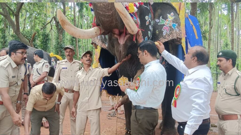 ಶಿವಮೊಗ್ಗ ಸಕ್ರೆಬೈಲು ಆನೆ ಬಿಡಾರದಲ್ಲಿ ವಿಶ್ವ ಆನೆಗಳ ದಿನಾಚರಣೆ