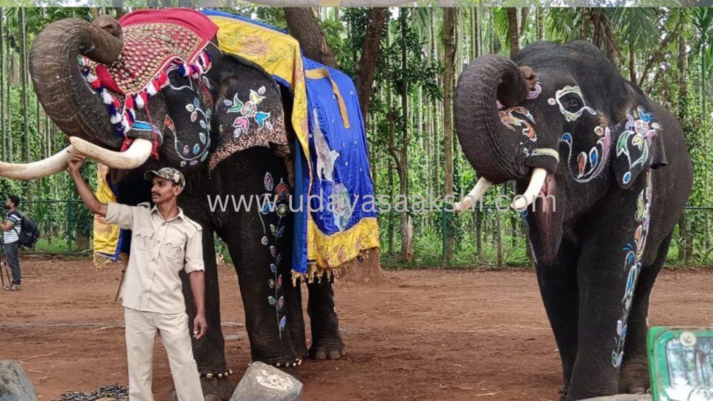 ಶಿವಮೊಗ್ಗ ಸಕ್ರೆಬೈಲು ಆನೆ ಬಿಡಾರದಲ್ಲಿ ವಿಶ್ವ ಆನೆಗಳ ದಿನಾಚರಣೆ