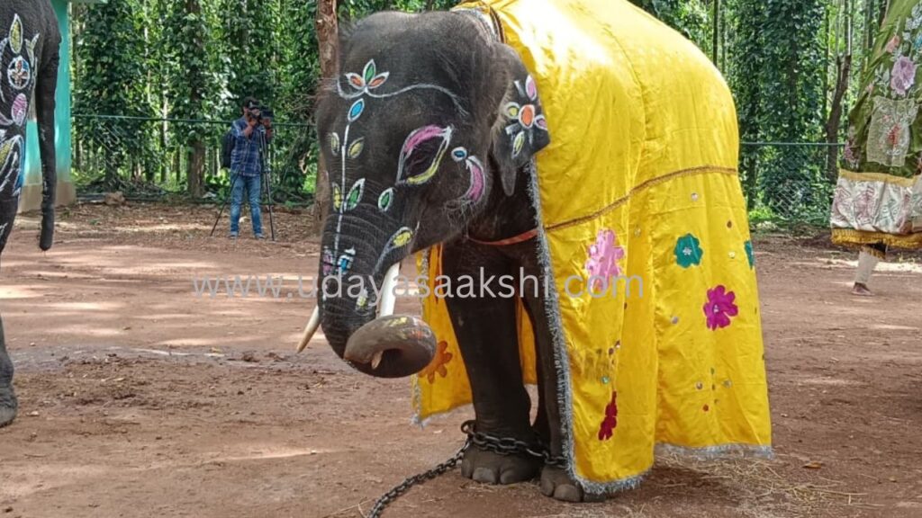 ಶಿವಮೊಗ್ಗ ಸಕ್ರೆಬೈಲು ಆನೆ ಬಿಡಾರದಲ್ಲಿ ವಿಶ್ವ ಆನೆಗಳ ದಿನಾಚರಣೆ
