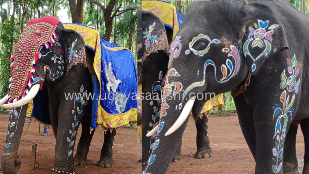 ಶಿವಮೊಗ್ಗ ಸಕ್ರೆಬೈಲು ಆನೆ ಬಿಡಾರದಲ್ಲಿ ವಿಶ್ವ ಆನೆಗಳ ದಿನಾಚರಣೆ
