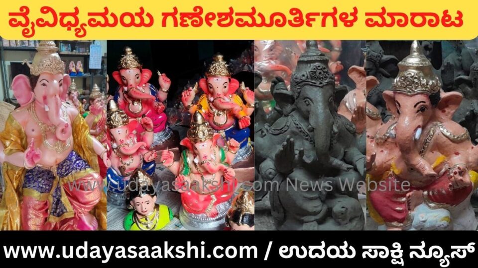 ವೈವಿಧ್ಯಮಯ ಗಣೇಶಮೂರ್ತಿಗಳ ಮಾರಾಟ : ಪರಿಸರ ಸ್ನೇಹಿ ವಿಗ್ರಹಗಳಿಗೆ ಸಖತ್ ಡಿಮ್ಯಾಂಡ್!