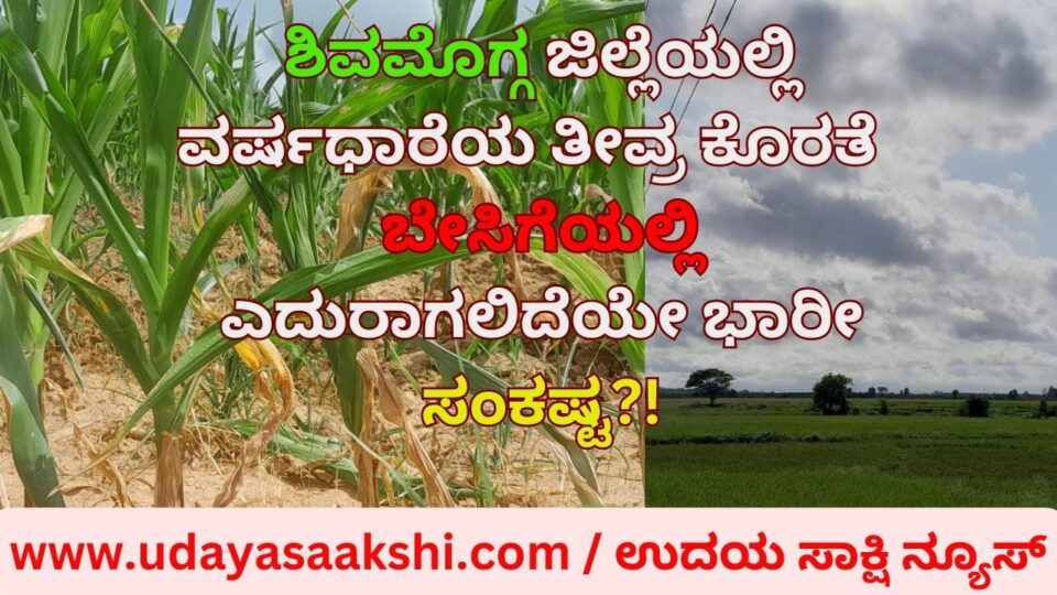 ಮುಂಗಾರು ಮಳೆ ಅವಧಿ ಅಂತ್ಯ : ಶಿವಮೊಗ್ಗ ಜಿಲ್ಲೆಯಲ್ಲಿ ವರ್ಷಧಾರೆಯ ತೀವ್ರ ಕೊರತೆ - ಬೇಸಿಗೆಯಲ್ಲಿ ಎದುರಾಗಲಿದೆಯೇ ಭಾರೀ ಸಂಕಷ್ಟ..?!