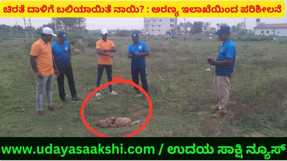 A dog is suspected to have died in a leopard attack near a residential area! : Forest Department team visit ಜನ ವಸತಿ ಪ್ರದೇಶದ ಬಳಿಯೇ ಚಿರತೆ ದಾಳಿಯಿಂದ ನಾಯಿ ಸಾವು ಶಂಕೆ! : ಅರಣ್ಯ ಇಲಾಖೆ ತಂಡ ಭೇಟಿ
