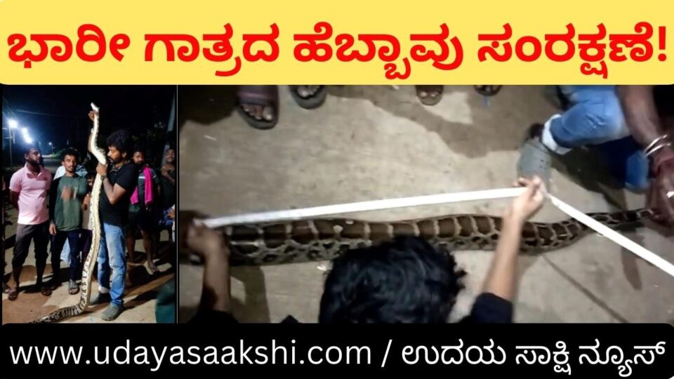 Heavy size python conservation! ನ್ಯಾಮತಿ ಬಳಿಯ ದೊಡ್ಡೇರಿಯಲ್ಲಿ ಭಾರೀ ಗಾತ್ರದ ಹೆಬ್ಬಾವು ಸಂರಕ್ಷಣೆ!