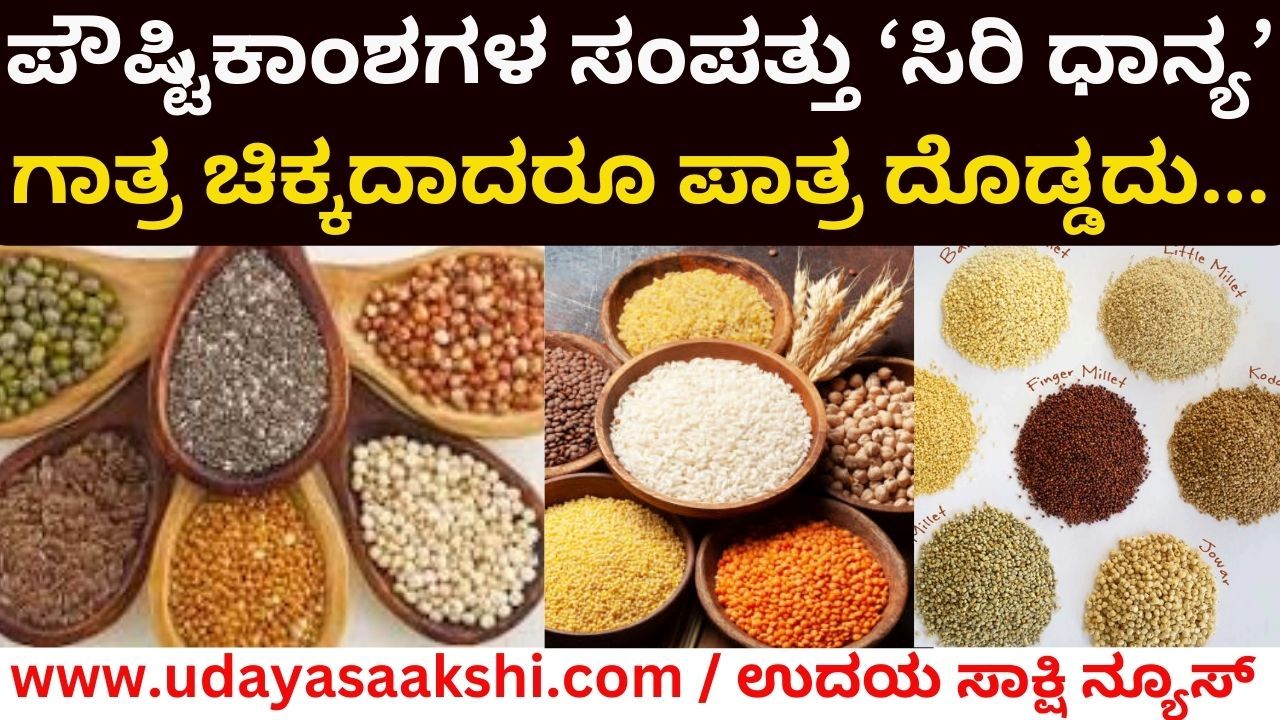 ಪೌಷ್ಟಿಕಾಂಶಗಳ ಸಂಪತ್ತು ‘ಸಿರಿ ಧಾನ್ಯ’- ಗಾತ್ರ ಚಿಕ್ಕದಾದರೂ ಪಾತ್ರ ದೊಡ್ಡದು