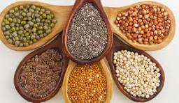 Rich in Nutrients 'Siri Grain' - Small in Size but Big in Role...
ಪೌಷ್ಟಿಕಾಂಶಗಳ ಸಂಪತ್ತು ‘ಸಿರಿ ಧಾನ್ಯ’- ಗಾತ್ರ ಚಿಕ್ಕದಾದರೂ ಪಾತ್ರ ದೊಡ್ಡದು