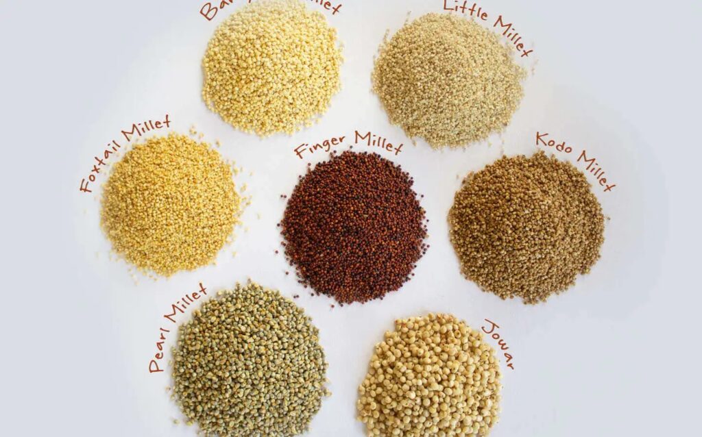 Rich in Nutrients 'Siri Grain' - Small in Size but Big in Role...
ಪೌಷ್ಟಿಕಾಂಶಗಳ ಸಂಪತ್ತು ‘ಸಿರಿ ಧಾನ್ಯ’- ಗಾತ್ರ ಚಿಕ್ಕದಾದರೂ ಪಾತ್ರ ದೊಡ್ಡದು