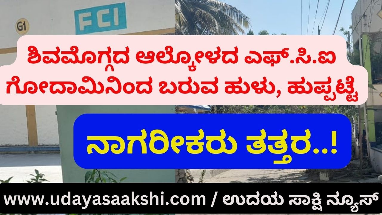 Worms coming from FCI warehouse in Alkola, Shimoga : Citizens panic..! ಶಿವಮೊಗ್ಗದ ಆಲ್ಕೋಳದ ಎಫ್.ಸಿ.ಐ ಗೋದಾಮಿನಿಂದ ಬರುವ ಹುಳು, ಹುಪ್ಪಟ್ಟೆ : ನಾಗರೀಕರು ತತ್ತರ..!