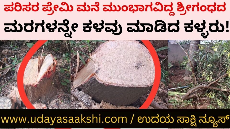 Thieves stole the sandalwood trees in front of the house of an environmental lover! ಪರಿಸರ ಪ್ರೇಮಿ ಮನೆ ಮುಂಭಾಗವಿದ್ದ ಶ್ರೀಗಂಧದ ಮರಗಳನ್ನೇ ಕಳವು ಮಾಡಿದ ಕಳ್ಳರು!