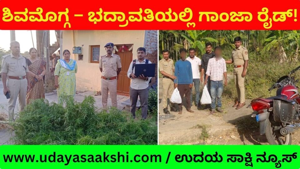 Shimoga - Bhadravati: Police raid on cannabis stalls! ಶಿವಮೊಗ್ಗ – ಭದ್ರಾವತಿಯಲ್ಲಿ ಗಾಂಜಾ ಅಡ್ಡೆಗಳ ಮೇಲೆ ಪೊಲೀಸರ ರೈಡ್!