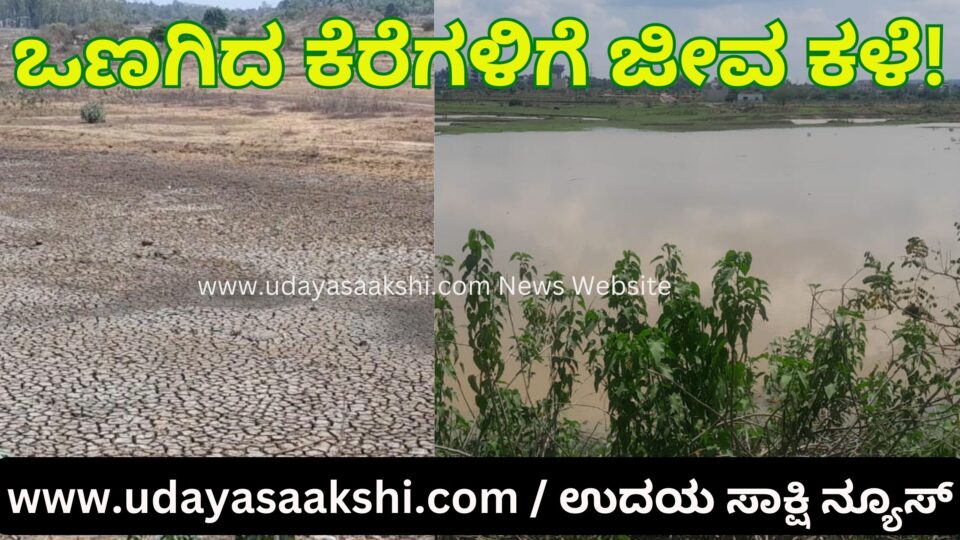 Shimoga: Life weed for lakes dried up by summer rain! ಶಿವಮೊಗ್ಗ : ಬೇಸಿಗೆ ಮಳೆಯಿಂದ ಒಣಗಿದ ಕೆರೆಗಳಿಗೆ ಜೀವ ಕಳೆ!