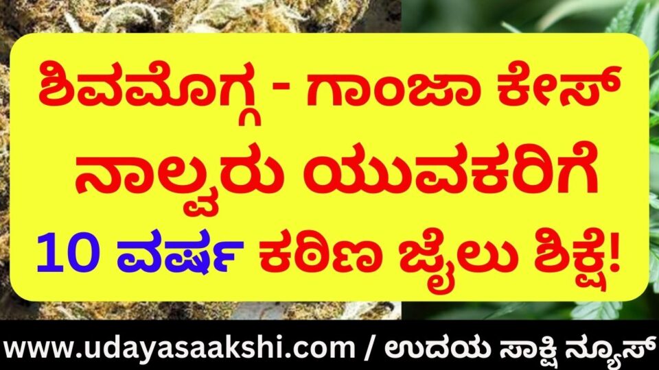 Shimoga - Ganja case: 10 years rigorous imprisonment for four youths! ಶಿವಮೊಗ್ಗ - ಗಾಂಜಾ ಕೇಸ್ : ನಾಲ್ವರು ಯುವಕರಿಗೆ 10 ವರ್ಷ ಕಠಿಣ ಜೈಲು ಶಿಕ್ಷೆ!