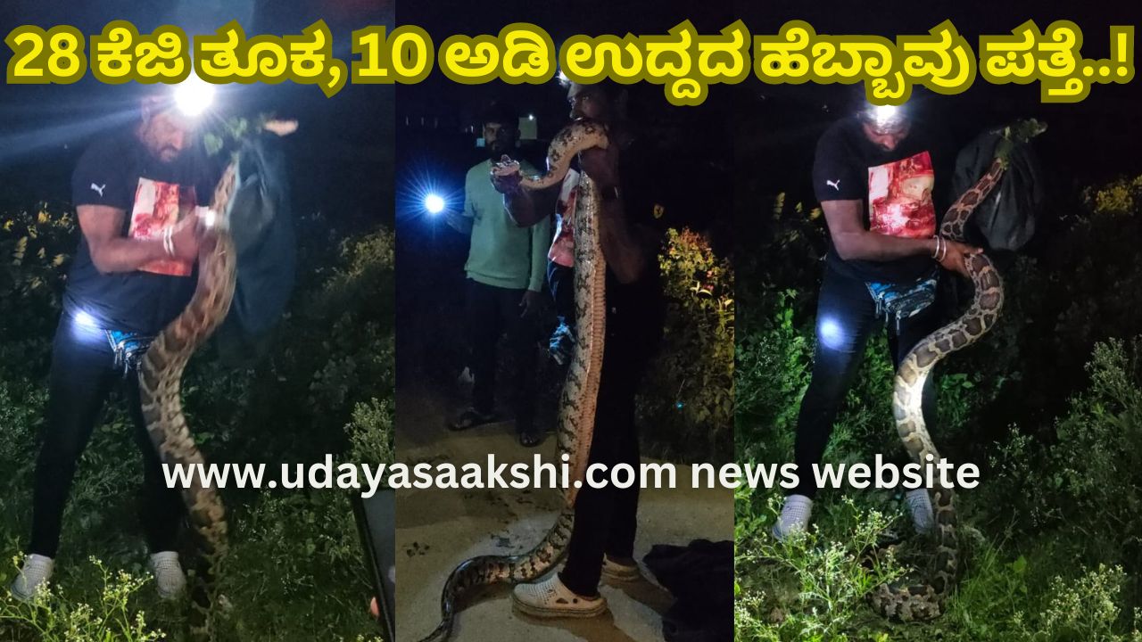 28 kg weight 10 feet long python found..! 28 ಕೆಜಿ ತೂಕ, 10 ಅಡಿ ಉದ್ದದ ಹೆಬ್ಬಾವು ಪತ್ತೆ..!