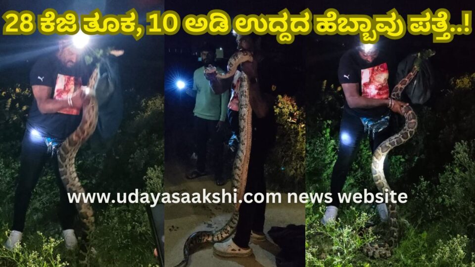 28 kg weight 10 feet long python found..! 28 ಕೆಜಿ ತೂಕ, 10 ಅಡಿ ಉದ್ದದ ಹೆಬ್ಬಾವು ಪತ್ತೆ..!