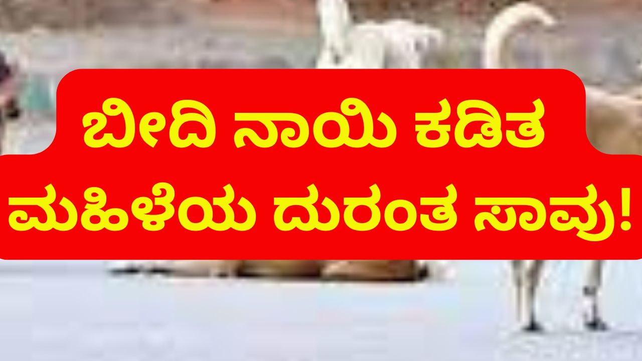 hosanagara | The tragic death of a woman who was bitten by a dog! ನಾಯಿ ಕಡಿತಕ್ಕೊಳಗಾಗಿದ್ದ ಮಹಿಳೆಯ ದುರಂತ ಸಾವು