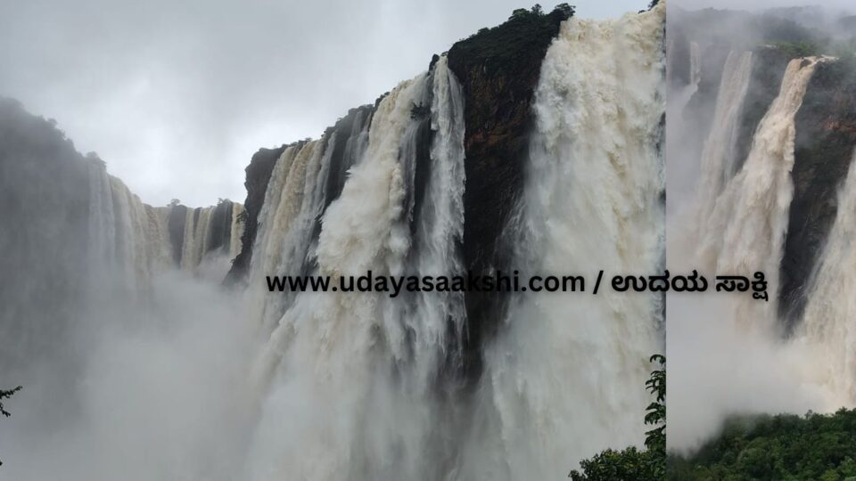 The eye-catching beauty of the water body of Joga Falls! ಕಣ್ಮನ ಸೆಳೆಯುತ್ತಿರುವ ಜೋಗ ಜಲಪಾತದ ಜಲರಾಶಿಯ ಸೌಂದರ್ಯ!