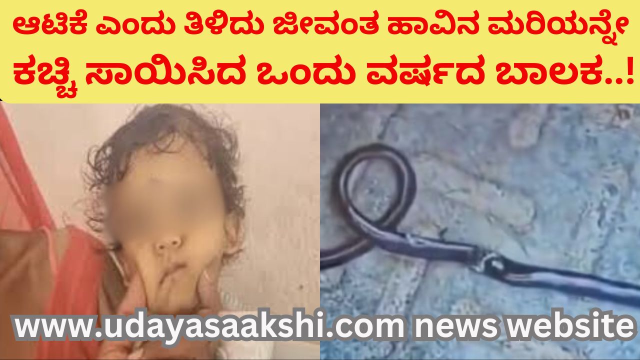 One-Year-Old Boy Bites Snake To Death In Bihar After Mistaking It For Toy Doctors Stunned ಆಟಿಕೆ ಎಂದು ತಿಳಿದು ಜೀವಂತ ಹಾವಿನ ಮರಿಯನ್ನೇ ಕಚ್ಚಿ ಸಾಯಿಸಿದ ಒಂದು ವರ್ಷದ ಬಾಲಕ..!
