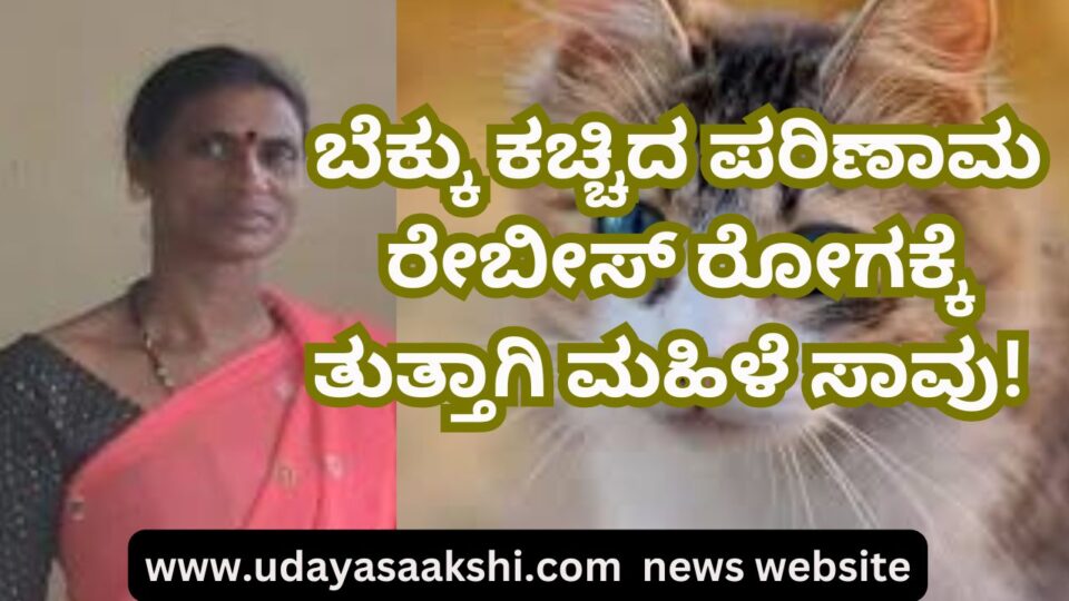 A woman died of rabies as a result of being bitten by a cat! ಬೆಕ್ಕು ಕಚ್ಚಿದ ಪರಿಣಾಮ ರೇಬೀಸ್ ರೋಗಕ್ಕೆ ತುತ್ತಾಗಿ ಮಹಿಳೆ ಸಾವು!