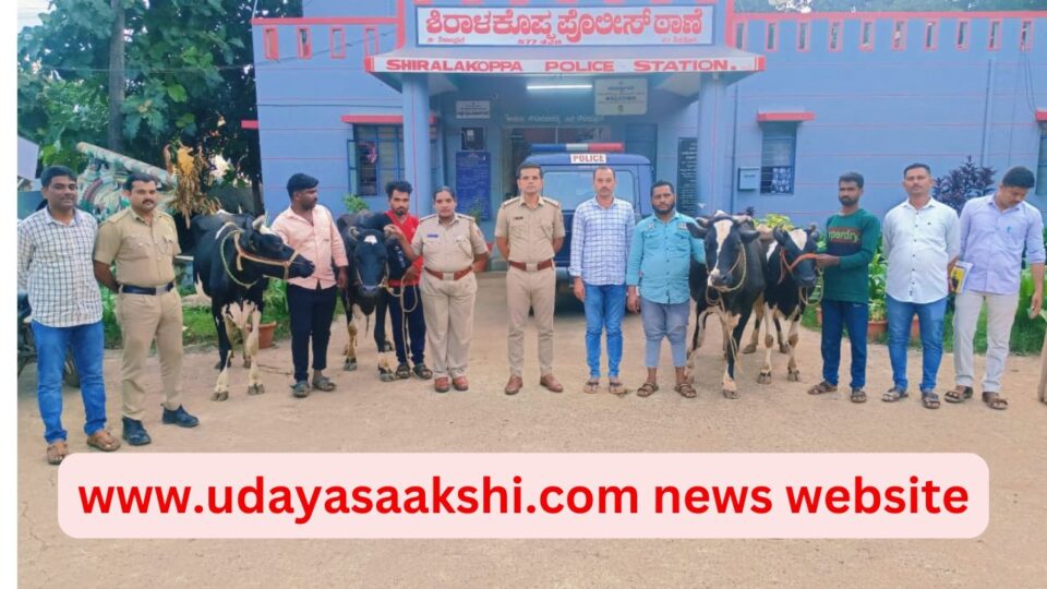 ಶಿರಾಳಕೊಪ್ಪ ಪೊಲೀಸ್ ಠಾಣೆ Cattle theft near Shiralakoppa: Haveri district Hirekerur man arrested! ಶಿರಾಳಕೊಪ್ಪ ಬಳಿ ಜಾನುವಾರುಗಳ ಕಳವು : ಹಾವೇರಿ ಜಿಲ್ಲೆ ಹಿರೇಕೆರೂರು ವ್ಯಕ್ತಿ ಅರೆಸ್ಟ್!