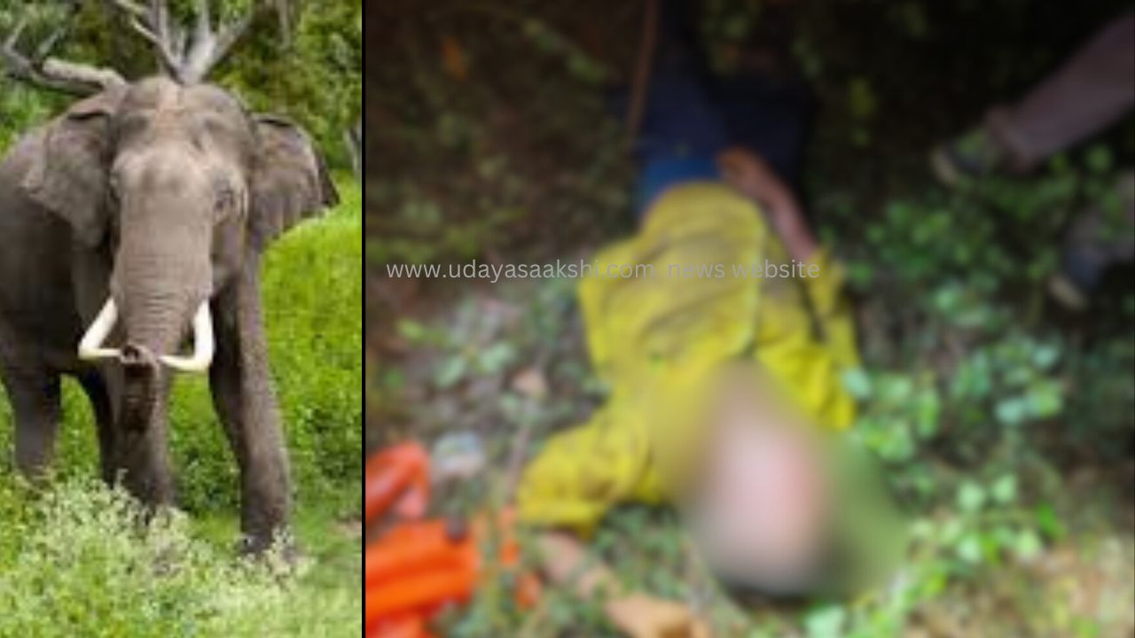 wild elephant attack : Gadag-based agricultural laborer dies - demand for appropriate compensation ಕಾಡಾನೆ ದಾಳಿ : ಗದಗ ಮೂಲದ ಕೃಷಿ ಕೂಲಿ ಕಾರ್ಮಿಕ ಸಾವು – ಸೂಕ್ತ ಪರಿಹಾರಕ್ಕೆ ಆಗ್ರಹ