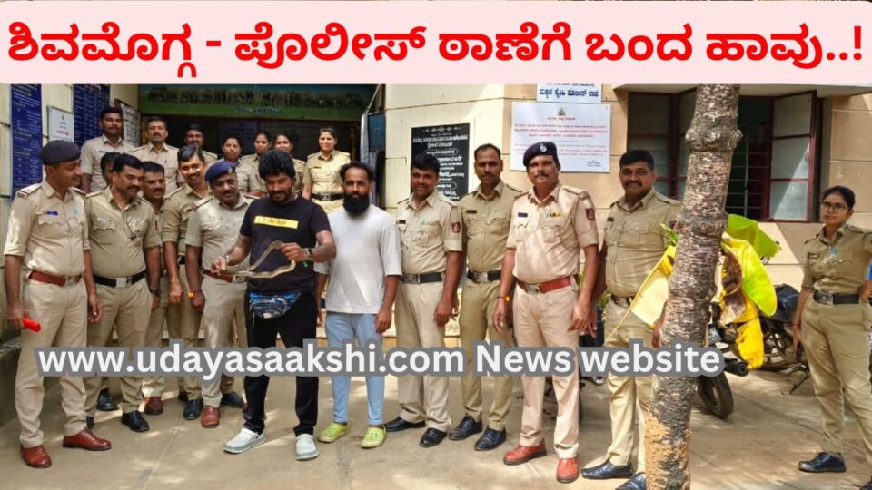 shimoga | Shimoga - Snake came to the police station: Shocked police..! ಶಿವಮೊಗ್ಗ – ಪೊಲೀಸ್ ಠಾಣೆಗೆ ಬಂದ ಹಾವು : ಬೆಚ್ಚಿಬಿದ್ದ ಪೊಲೀಸರು..!