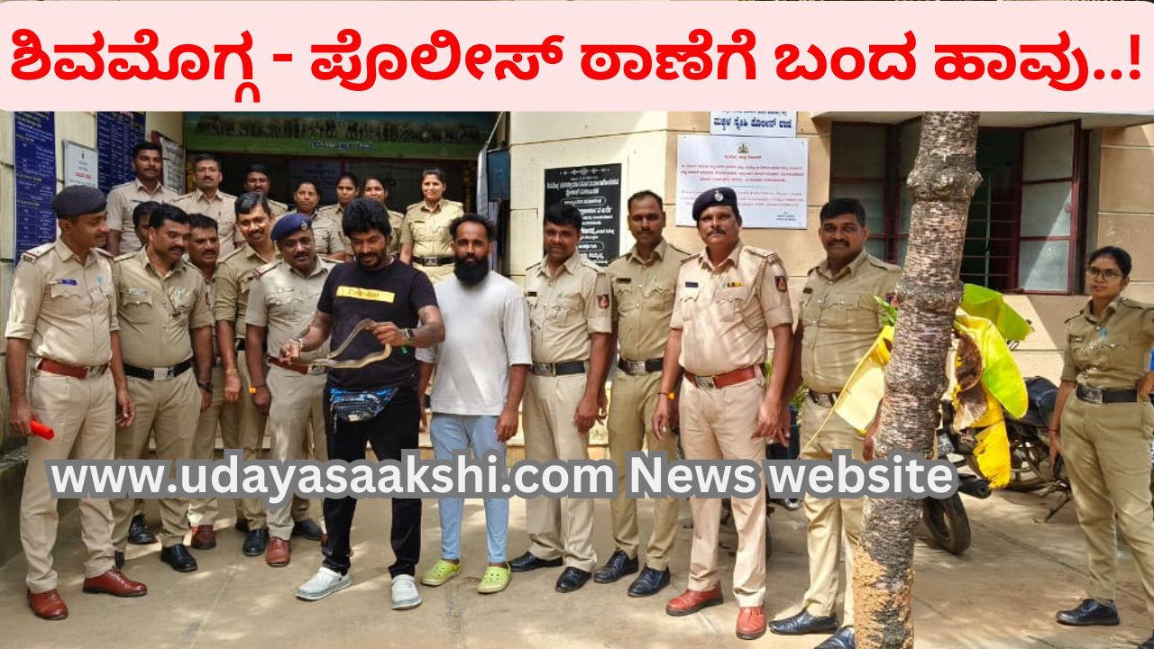shimoga | Shimoga - Snake came to the police station: Shocked police..! ಶಿವಮೊಗ್ಗ – ಪೊಲೀಸ್ ಠಾಣೆಗೆ ಬಂದ ಹಾವು : ಬೆಚ್ಚಿಬಿದ್ದ ಪೊಲೀಸರು..!