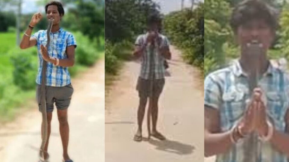 Telangana | Reel's whim: Video of snake bite in the mouth - young man dies! ರೀಲ್ಸ್ ಹುಚ್ಚಾಟ : ಬಾಯಲ್ಲಿ ಹಾವು ಕಚ್ಚಿಕೊಂಡು ವೀಡಿಯೋ – ಯುವಕ ಸಾವು!