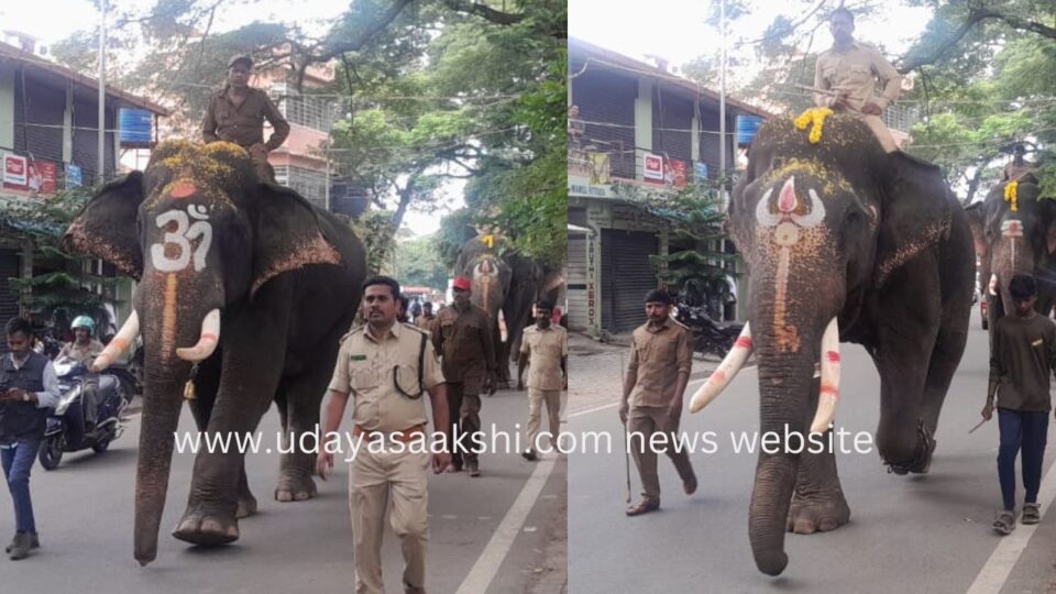 shimoga | ಶಿವಮೊಗ್ಗ : ಜಂಬೂ ಸವಾರಿಗೆ ಅದ್ಧೂರಿ ತಯಾರಿ!