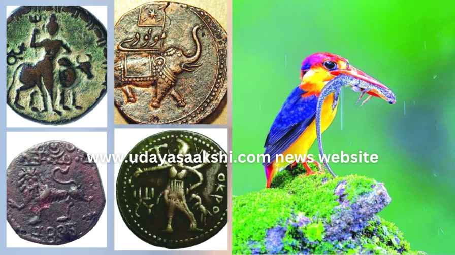shimoga | ಶಿವಮೊಗ್ಗ : ಕರ್ನಾಟಕ ಸಂಘದಲ್ಲಿ ಅಪರೂಪದ  ಛಾಯಾಚಿತ್ರ - ನಾಣ್ಯ ಪ್ರದರ್ಶನ ಕಾರ್ಯಕ್ರಮ Shimoga: Rare Photograph - Coin Exhibition Program at Karnataka Association