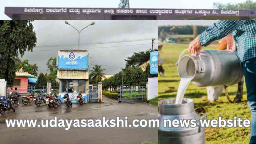 shimoga | Good news for Shimoga, Davanagere, Chitradurga milk producers: Increase in purchase price of milk! shimoga | ಶಿವಮೊಗ್ಗ, ದಾವಣಗೆರೆ, ಚಿತ್ರದುರ್ಗ ಹಾಲು ಉತ್ಪಾದಕರಿಗೆ ಗುಡ್ ನ್ಯೂಸ್ : ಹಾಲಿನ ಖರೀದಿ ದರ ಹೆಚ್ಚಳ!