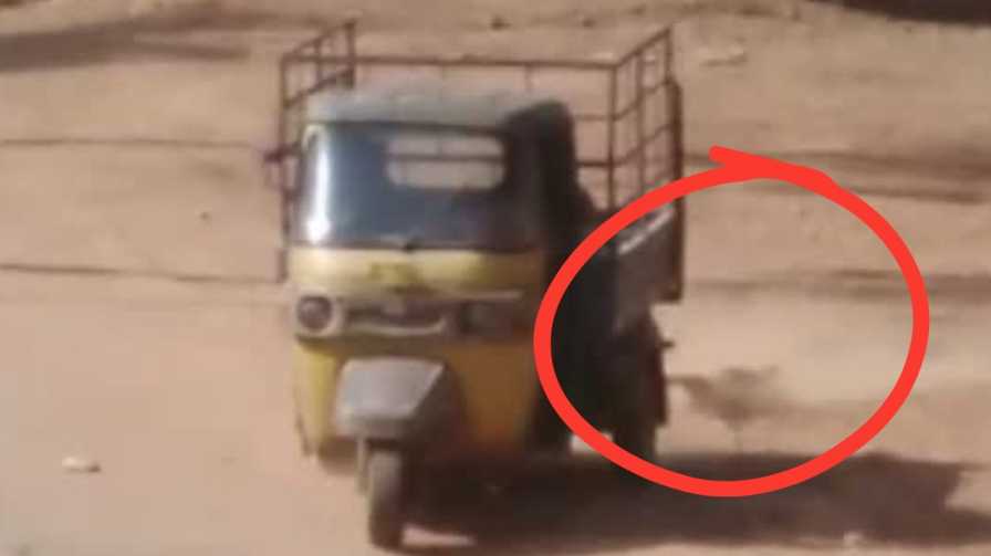 shimoga | A man who killed a stray dog ​​was arrested: the case attracted attention from Maneka Gandhi's entry! shimoga | ಬೀದಿ ನಾಯಿ ಕೊಂದ ವ್ಯಕ್ತಿ ಬಂಧನ : ಮೇನಕಾ ಗಾಂಧಿ ಎಂಟ್ರಿಯಿಂದ ಗಮನ ಸೆಳೆದ ಪ್ರಕರಣ!