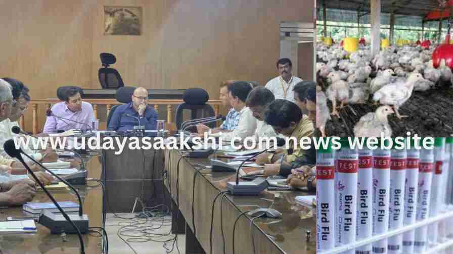 shimoga | 'Chicken meat does not cause bird flu': Shimoga DC Gurudatta Hegade shimoga | ‘ಕೋಳಿ ಮಾಂಸ ಸೇವನೆಯಿಂದ ಹಕ್ಕಿ ಜ್ವರ ಬರುವುದಿಲ್ಲ’ : ಶಿವಮೊಗ್ಗ ಡಿಸಿ ಗುರುದತ್ತ ಹೆಗಡೆ