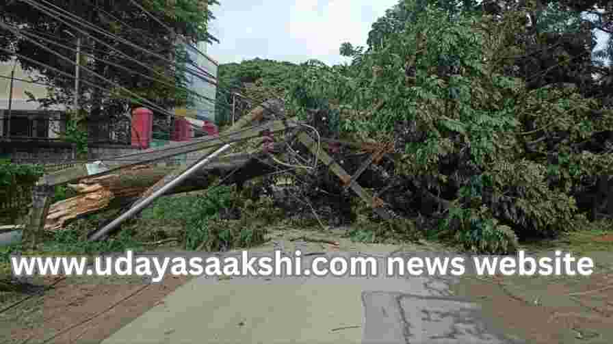 Shimoga: A huge tree fell on the transformer due to wind and rain! ಶಿವಮೊಗ್ಗ : ಗಾಳಿ – ಮಳೆಗೆ ಟ್ರಾನ್ಸ್’ಫಾರ್ಮರ್ ಮೇಲೆಯೇ ಉರುಳಿಬಿದ್ದ ಬೃಹದಾಕಾರದ ಮರ!