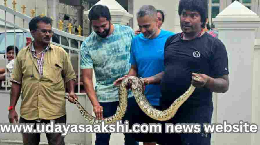 Shivamogga: 7-foot-long python found in car..! ಶಿವಮೊಗ್ಗ : ಕಾರಿನಲ್ಲಿ 7 ಅಡಿ ಉದ್ದದ ಹೆಬ್ಬಾವು..!