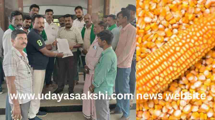 Shivamogga: Protest by Tyajavalli farmers demanding opening of maize purchasing center! ಶಿವಮೊಗ್ಗ : ಮೆಕ್ಕೆಜೋಳ ಖರೀದಿ ಕೇಂದ್ರ ತೆರೆಯಲು ಆಗ್ರಹಿಸಿ ತ್ಯಾಜವಳ್ಳಿ ರೈತರಿಂದ ಪ್ರತಿಭಟನೆ!