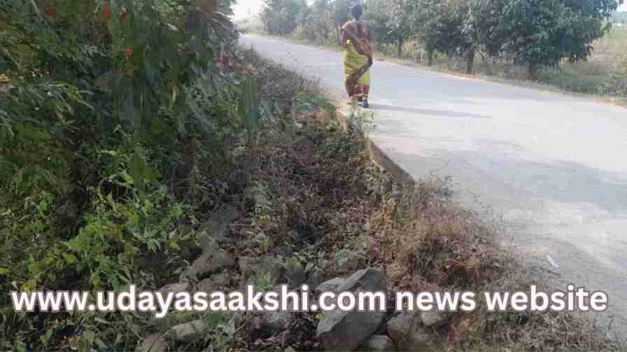 ಶಿವಮೊಗ್ಗ ನಗರದ ಹೊರವಲಯ ರಾಮಕೃಷ್ಣ ಆಶ್ರಮ ಸಂಪರ್ಕಿಸುವ ಜಿಲ್ಲಾ ಹೆದ್ದಾರಿಯ ಹಲವೆಡೆ, ತಡೆಗೋಡೆಯಿಲ್ಲದೆ ಅಪಾಯಕಾರಿ ಸ್ಥಿತಿಯಿದೆ. ಗುಂಡಿಗಳಿಗೆ ವಾಹನಗಳು ಬಿದ್ದು ಅಪಾಯ ಸಂಭವಿಸುವ ಮುನ್ನ, ಪಿಡಬ್ಲ್ಯೂಡಿ ಇಲಾಖೆ ಎಚ್ಚೆತ್ತುಕೊಳ್ಳಬೇಕಾಗಿದೆ ಎಂದು ಸ್ಥಳೀಯ ನಾಗರೀಕರು ಆಗ್ರಹಿಸಿದ್ದಾರೆ.