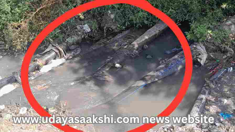 ಶಿವಮೊಗ್ಗ : ರಾಜಕಾಲುವೆ ಕೊಳಚೆ ನೀರಲ್ಲಿ ಕುಡಿಯುವ ನೀರು ಪೈಪ್ ಗಳು – ಎಚ್ಚೆತ್ತುಕೊಳ್ಳುವುದೆ ಜಲ ಮಂಡಳಿ? ವರದಿ : ಬಿ. ರೇಣುಕೇಶ್ ಶಿವಮೊಗ್ಗ, ನವೆಂಬರ್ 10: ಕಲುಷಿತ ಕುಡಿಯುವ ನೀರು ಸೇವನೆಯು, ನಾಗರೀಕರ ಆರೋಗ್ಯದ ಮೇಲೆ ಗಂಭೀರ ಪರಿಣಾಮ ಬೀರುತ್ತದೆ. ಈ ಕಾರಣದಿಂದ ಕುಡಿಯುವ ನೀರು ಪೂರೈಕೆಯ ಪೈಪ್ ಲೈನ್ ಗಳು, ಚರಂಡಿ – ರಾಜ ಕಾಲುವೆ ಮೂಲಕ ಹಾದು ಹೋದ ವೇಳೆ, ಅಗತ್ಯ ಮುನ್ನೆಚ್ಚರಿಕೆ ಕ್ರಮಕೈಗೊಳ್ಳುವಂತೆ ಕಾಲಕಾಲಕ್ಕೆ ರಾಜ್ಯ ಸರ್ಕಾರ ಕಟ್ಟುನಿಟ್ಟಿನ ಸೂಚನೆ ನೀಡುತ್ತದೆ. ಆದರೆ ಶಿವಮೊಗ್ಗ ನಗರದ ದೇವರಾಜ ಅರಸ್ ಬಡಾವಣೆ ಬಳಿಯಿರುವ ಓವರ್ ಹೆಡ್ ಟ್ಯಾಂಕ್ ಮೂಲಕ, ವಿವಿಧ ಬಡಾವಣೆಗಳಿಗೆ ಕುಡಿಯುವ ನೀರು ಪೂರೈಕೆಯಾಗುವ ಪೈಪ್ ಲೈನ್ ಗಳು ರಾಜಕಾಲುವೆ ಕೊಳಚೆ ನೀರಲ್ಲಿಯೇ ಹಾದು ಹೋಗಿವೆ..! ಕನಿಷ್ಠ ಮುನ್ನೆಚ್ಚರಿಕೆ ಕ್ರಮಗಳ ಪಾಲನೆ ಮಾಡಿಲ್ಲವಾಗಿದೆ ಎಂದು ಸ್ಥಳೀಯ ಸಾರ್ವಜನಿಕರು ದೂರುತ್ತಾರೆ. ನೀರು ಪೂರೈಕೆ : ದೇವರಾಜ ಅರಸು ಬಡಾವಣೆ ಓವರ್ ಹೆಡ್ ಟ್ಯಾಂಕ್ ನಿಂದ ಶಾರದಮ್ಮ ಲೇಔಟ್, ಮೈತ್ರಿ ಅಪಾರ್ಟ್ ಮೆಂಟ್, ದೇವರಾಜ ಅರಸು ಬಡಾವಣೆ, ಸೂರ್ಯ ಲೇಔಟ್, ಪಿ ಅಂಡ್ ಟಿ ಲೇಔಟ್, ಸಹ್ಯಾದ್ರಿ ನಗರ, ಜೆ ಹೆಚ್ ಪಟೇಲ್ ಬಡಾವಣೆ, ಸೋಮಿನಕೊಪ್ಪ ಸುತ್ತಮುತ್ತಲಿನ ಬಡಾವಣೆಗಳಿಗೆ ಕುಡಿಯುವ ನೀರು ಪೂರೈಕೆಯಾಗುತ್ತದೆ. ಓವರ್ ಹೆಡ್ ಟ್ಯಾಂಕ್ ಹೊರ ಭಾಗದಲ್ಲಿಯೇ ಕಾಶೀಪುರ ಕಡೆಯಿಂದ ಬರುವ ರಾಜ ಕಾಲುವೆ ಹಾದು ಹೋಗಿದೆ. ಸದರಿ ಕಾಲುವೆ ಕೊಳಚೆ ನೀರಲ್ಲಿಯೇ ನೀರು ಪೂರೈಕೆಯ ಪೈಪ್ ಗಳು ಹಾದು ಹೋಗಿವೆ. ಕಾಲುವೆ ಮೂಲಕ ಪೈಪ್ ಹಾಕುವ ವೇಳೆ, ಕನಿಷ್ಠ ಕಡ್ಡಾಯ ಸುರಕ್ಷತಾ ಕ್ರಮಗಳ ಪಾಲನೆ ಮಾಡಿಲ್ಲವೆಂಬುವುದು ನಾಗರೀಕರ ಆರೋಪವಾಗಿದೆ. ‘ರಾಜಕಾಲುವೆ ಮೇಲ್ಭಾಗದಿಂದ, ಕೊಳಚೆ ನೀರಿನ ಸಂಪರ್ಕಕ್ಕೆ ಆಸ್ಪದವಾಗದಂತೆ ಪೈಪ್ ಗಳನ್ನು ಕೊಂಡೊಯ್ಯಬೇಕಾಗಿತ್ತು. ಆದರೆ ಇವ್ಯಾವ ಕಾರ್ಯಗಳು ಆಗಿಲ್ಲ. ಕೊಳಚೆ ನೀರಲ್ಲಿಯೇ ಪೈಪ್ ಗಳನ್ನು ಹಾಕಲಾಗಿದೆ. ಪೈಪ್ ಗಳು ಏನಾದರೂ ದುರಸ್ತಿಯಾದರೆ, ನೇರವಾಗಿ ಕೊಳಚೆ ನೀರು ಪೈಪ್ ಗಳಲ್ಲಿ ಸೇರ್ಪಡೆಯಾಗುತ್ತದೆ. ಹಾಗೆಯೇ ಪೈಪ್ ಗಳ ಬಳಿ ಕಸಕಡ್ಡಿ, ಪ್ಲಾಸ್ಟಿಕ್ ಮತ್ತೀತರ ವಸ್ತುಗಳು ಸಿಲುಕಿ ಸರಾಗವಾಗಿ ನೀರು ಹರಿದು ಹೋಗಲು ಸಮಸ್ಯೆಯಾಗುತ್ತಿದೆ. ಮಳೆಗಾಲದ ವೇಳೆ ರಾಜಕಾಲುವೆಯಲ್ಲಿ ಸಮರ್ಪಕವಾಗಿ ನೀರು ಹರಿದು ಹೋಗಲು ಅಡಚಣೆಯಾಗುತ್ತಿದೆ. ಹೇಳುವವರು, ಕೇಳುವವರು ಯಾರೂ ಇಲ್ಲವಾಗಿದ್ದಾರೆ’ ಎಂದು ಸ್ಥಳೀಯ ಕೆಲ ನಾಗರೀಕರು ತೀವ್ರ ಆಕ್ರೋಶ ವ್ಯಕ್ತಪಡಿಸುತ್ತಾರೆ. ಎಚ್ಚೆತ್ತುಕೊಳ್ಳಲಿ : ತಕ್ಷಣವೇ ಜಲ ಮಂಡಳಿ ಆಡಳಿತ ಇತ್ತ ಗಮನಹರಿಸಬೇಕಾಗಿದೆ. ದೇವರಾಜ ಅರಸು ಬಡಾವಣೆ ಓವರ್ ಹೆಡ್ ಟ್ಯಾಂಕ್ ಬಳಿಯ ರಾಜಕಾಲುವೆ ಬಳಿ ಹಾದು ಹೋಗಿರುವ ಪೈಪ್ ಗಳ ಬಳಿ, ಅಗತ್ಯ ಸುರಕ್ಷತಾ ಕ್ರಮಗಳ ಪಾಲನೆ ಮಾಡಬೇಕಾಗಿದೆ ಎಂಬುವುದು ನಾಗರೀಕರ ಆಗ್ರಹವಾಗಿದೆ. ಓವರ್ ಹೆಡ್ ಟ್ಯಾಂಕ್ ನಿಂದ ನೀರು ಸೋರಿಕೆ..! *** ದೇವರಾಜ ಅರಸು ಓವರ್ ಹೆಡ್ ಟ್ಯಾಂಕ್ ನ ಹೊರಭಾಗದಿಂದ ನೀರು ಸೋರಿಕೆಯಾಗುತ್ತಿದೆ. ಕ್ರಮೇಣ ನೀರು ಸೋರಿಕೆಯ ಪ್ರಮಾಣ ಕೂಡ ಹೆಚ್ಚಾಗುತ್ತಿದೆ. ಹಾಗೆಯೇ ಟ್ಯಾಂಕ್ ಪ್ರವೇಶ ದ್ವಾರದ ಬಳಿಯೇ ಪೈಪ್ ಒಡೆದು ಅಪಾರ ಪ್ರಮಾಣದ ಕುಡಿಯುವ ನೀರು ವ್ಯರ್ಥವಾಗಿ ಹರಿದು ಹೋಗುತ್ತಿದೆ. ಹಲವು ದಿನಗಳಿಂದ ಅವ್ಯವಸ್ಥೆಯಿದ್ದರೂ ಇಲ್ಲಿಯವರೆಗೂ ದುರಸ್ತಿಗೆ ಯಾವುದೇ ಕ್ರಮಕೈಗೊಂಡಿಲ್ಲ. ಇದರಿಂದ ಟ್ಯಾಂಕ್ ಆವರಣದಲ್ಲಿರುವ ಉದ್ಯಾನವನ ಸಂಪೂರ್ಣ ಕೊಳಚೆಮಯವಾಗಿದೆ. ತಕ್ಷಣವೇ ಜಲ ಮಂಡಳಿ ಇತ್ತ ಗಮನಹರಿಸಿ, ಅವ್ಯವಸ್ಥೆ ಸರಿಪಡಿಸಲು ಕ್ರಮಕೈಗೊಳ್ಳಬೇಕಾಗಿದೆ ಎಂದು ನಾಗರೀಕರು ಒತ್ತಾಯಿಸುತ್ತಾರೆ. ಏನಾದರೂ ಕೊಂಚ ಹೆಚ್ಚುಕಡಿಮೆಯಾಗಿ ಪೈಪ್ ಗಳು ಒಡೆದರೆ, ಕುಡಿಯುವ ನೀರಿನೊಂದಿಗೆ ಕಲುಷಿತ ನೀರು ಮಿಶ್ರಣವಾಗುವ ಸಾಧ್ಯತೆಗಳು ಅಲ್ಲಗಳೆಯುವಂತಿಲ್ಲವೆಂದು The pipelines that supply drinking water to various settlements through the overhead tank near Devaraja Urs Layout in Shivamogga City have passed through the sewage water of Rajakaluve..! Minimum precautionary measures have not been followed.