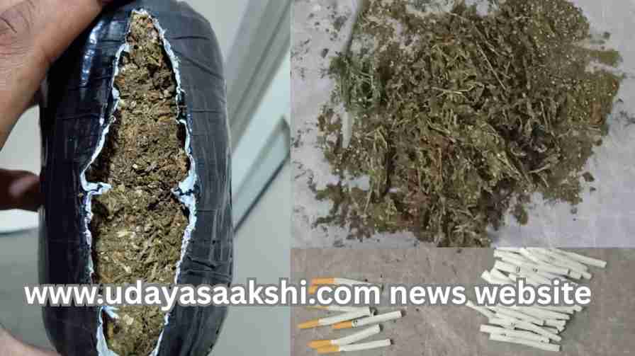 Operation against cannabis across Shimoga district! ಶಿವಮೊಗ್ಗ ಜಿಲ್ಲೆಯಾದ್ಯಂತ ಗಾಂಜಾ ವಿರುದ್ದ ಕಾರ್ಯಾಚರಣೆ!